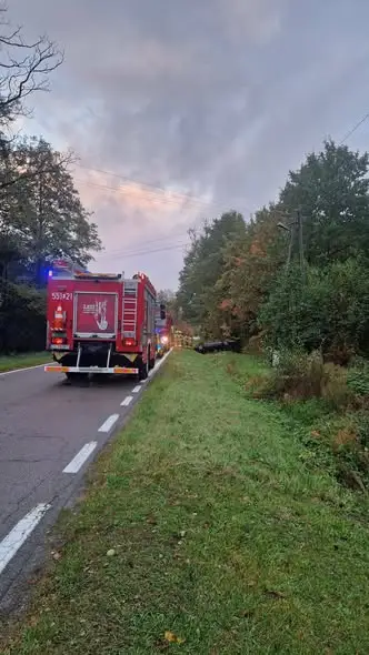 Zdarzenie drogowe na DW 819 w rejonie Woli Uhruskiej