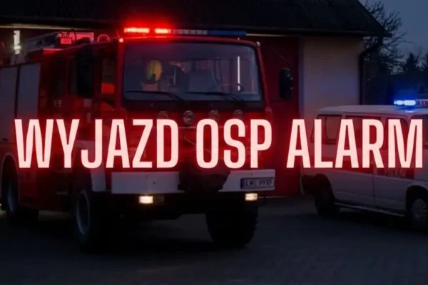 Powalone drzewo na drodze w Kaplonosach-Kolonii. Interweniowała OSP KSRG Wyryki