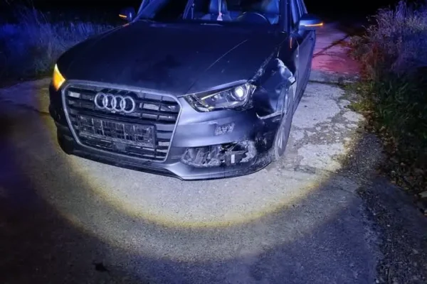 23-latek najechał na sarnę. Policja apeluje o ostrożność na drogach