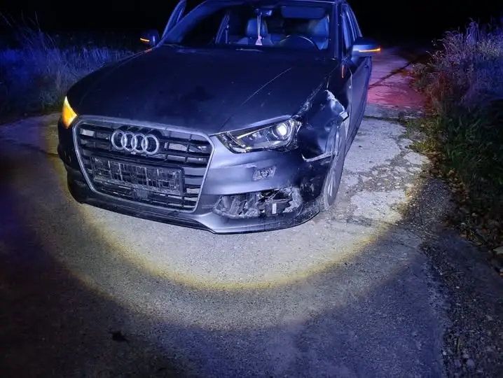 23-latek najechał na sarnę. Policja apeluje o ostrożność na drogach